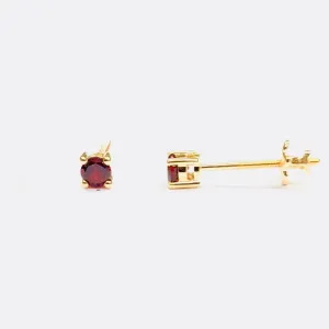 14K-0.71GR  3.0mm0.33, JANUARY,GARNET ER (EC918AGRY-14K)