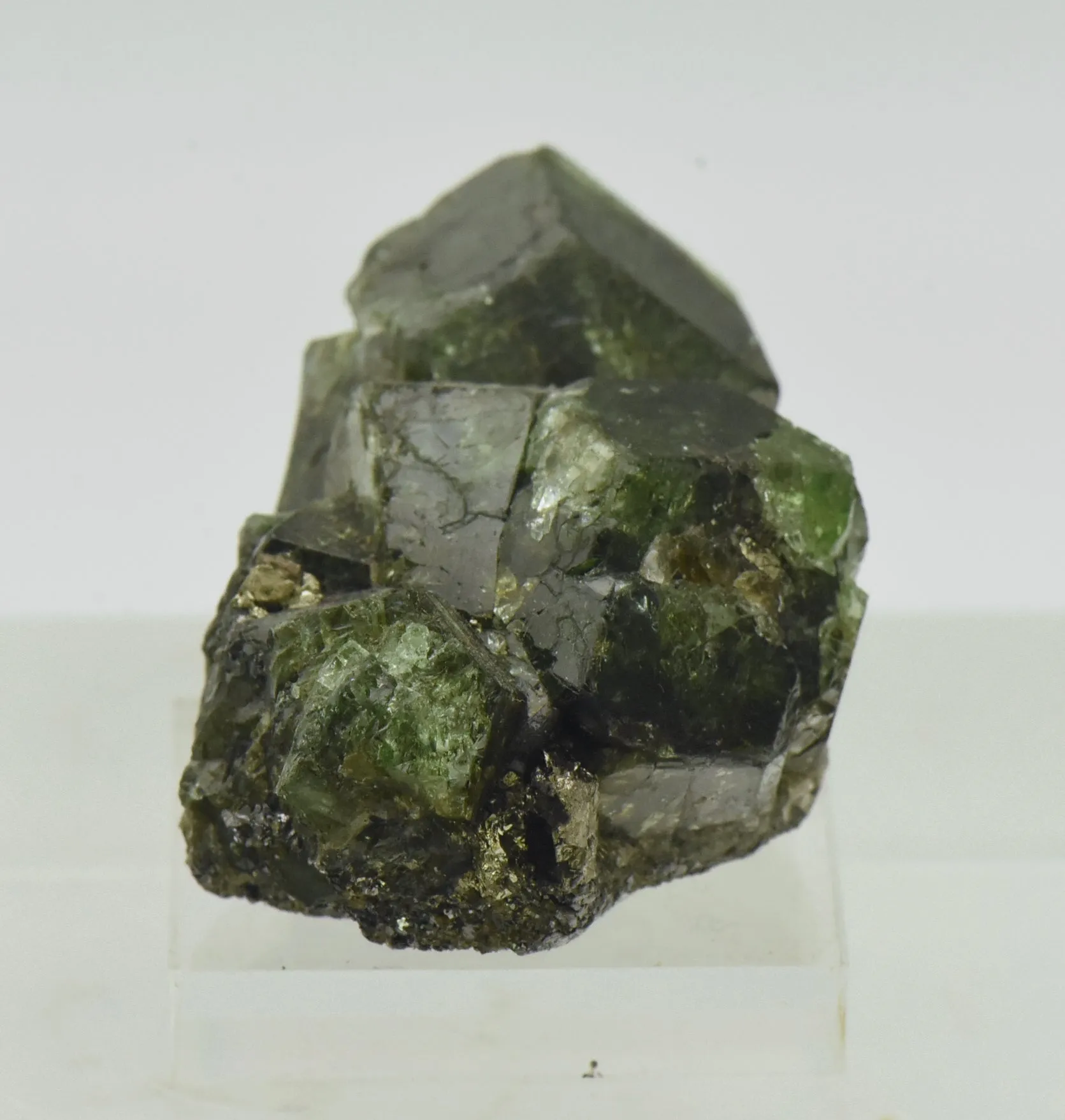 Grossular Garnet Cluster Specimen - Merelani Hills, Tanzania