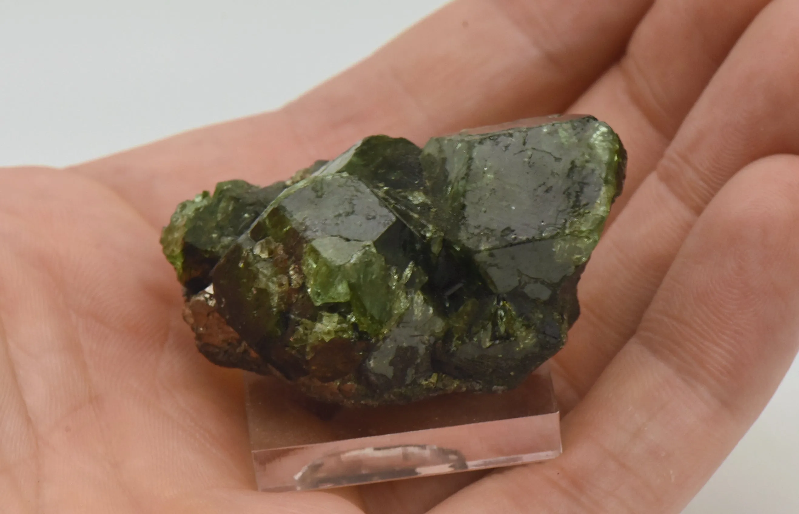 Grossular Garnet Cluster Specimen - Merelani Hills, Tanzania