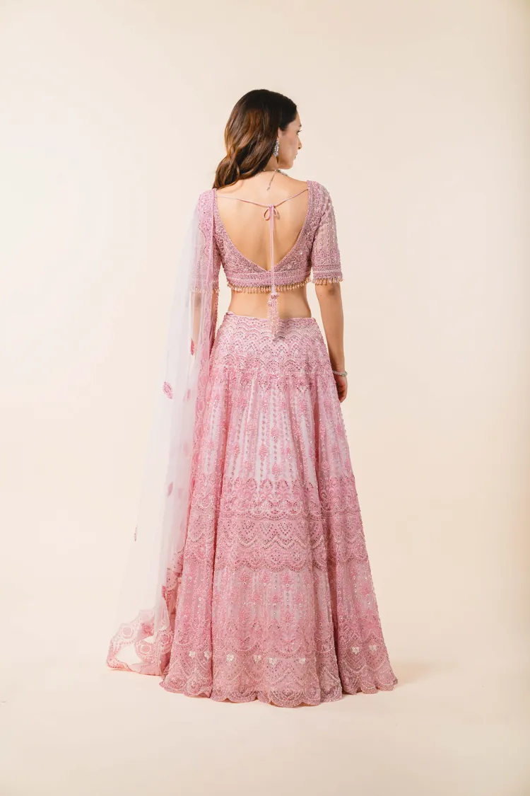 Powder Pink Tulle Lehenga Choli Set