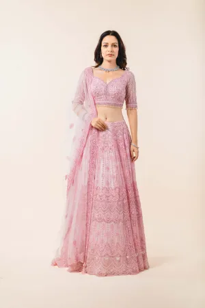 Powder Pink Tulle Lehenga Choli Set